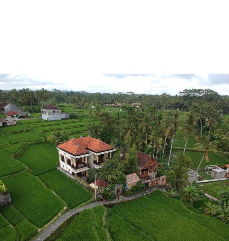 Ubud Sawah Villa, Cinery&Homestay Tegallalang  Luaran gambar